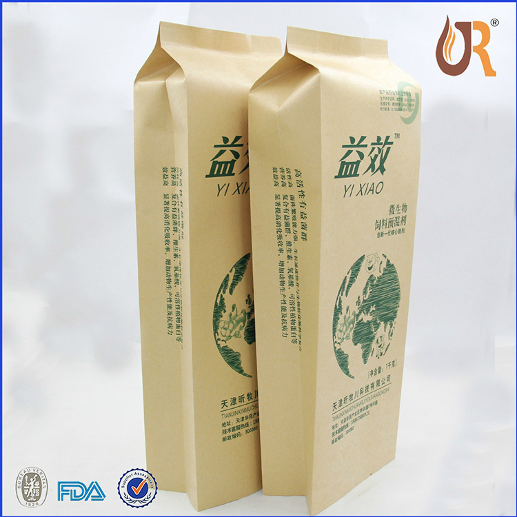 Back Sealed Kraft Paper Bag